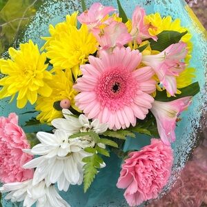 Meet your Posher, Emma